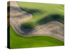 Washington, Palouse, Whitman County. Aerial of Palouse Region-Julie Eggers-Stretched Canvas