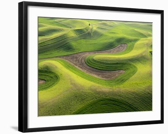 Washington, Palouse, Whitman County. Aerial of Palouse Region-Julie Eggers-Framed Photographic Print