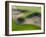 Washington, Palouse, Whitman County. Aerial of Palouse Region-Julie Eggers-Framed Photographic Print