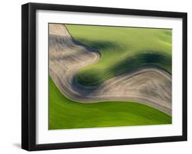 Washington, Palouse, Whitman County. Aerial of Palouse Region-Julie Eggers-Framed Photographic Print