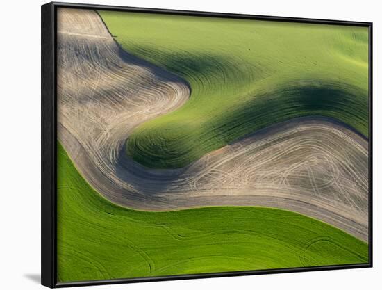 Washington, Palouse, Whitman County. Aerial of Palouse Region-Julie Eggers-Framed Photographic Print