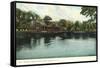 Washington Park, Albany, New York-null-Framed Stretched Canvas