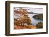 Washington Park Anacortes, Washington State-Alan Majchrowicz-Framed Photographic Print