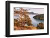 Washington Park Anacortes, Washington State-Alan Majchrowicz-Framed Photographic Print