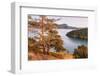 Washington Park Anacortes, Washington State-Alan Majchrowicz-Framed Photographic Print