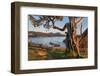 Washington Park Anacortes, Washington State-Alan Majchrowicz-Framed Photographic Print