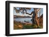 Washington Park Anacortes, Washington State-Alan Majchrowicz-Framed Photographic Print