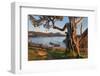 Washington Park Anacortes, Washington State-Alan Majchrowicz-Framed Photographic Print