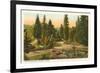 Washington Park, Portland, Oregon-null-Framed Art Print