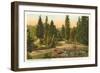 Washington Park, Portland, Oregon-null-Framed Art Print