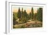 Washington Park, Portland, Oregon-null-Framed Art Print