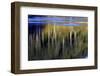 Washington_Quinault reflections-Art Wolfe-Framed Photographic Print