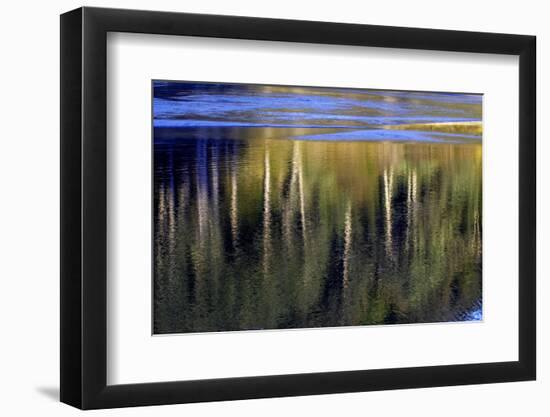 Washington_Quinault reflections-Art Wolfe-Framed Photographic Print