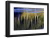 Washington_Quinault reflections-Art Wolfe-Framed Photographic Print