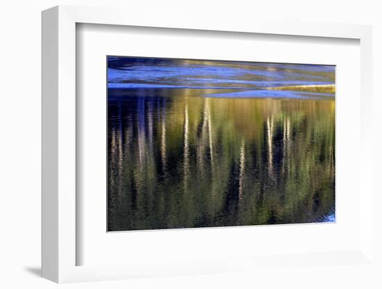 Washington_Quinault reflections-Art Wolfe-Framed Photographic Print