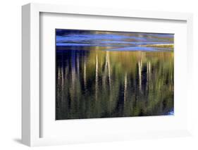 Washington_Quinault reflections-Art Wolfe-Framed Photographic Print