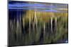 Washington_Quinault reflections-Art Wolfe-Mounted Photographic Print