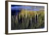 Washington_Quinault reflections-Art Wolfe-Framed Photographic Print