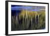 Washington_Quinault reflections-Art Wolfe-Framed Photographic Print