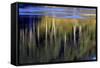 Washington_Quinault reflections-Art Wolfe-Framed Stretched Canvas