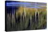 Washington_Quinault reflections-Art Wolfe-Stretched Canvas