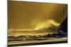 Washington_Quinault Seascape-Art Wolfe-Mounted Photographic Print