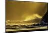 Washington_Quinault Seascape-Art Wolfe-Mounted Photographic Print