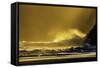 Washington_Quinault Seascape-Art Wolfe-Framed Stretched Canvas