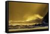 Washington_Quinault Seascape-Art Wolfe-Framed Stretched Canvas