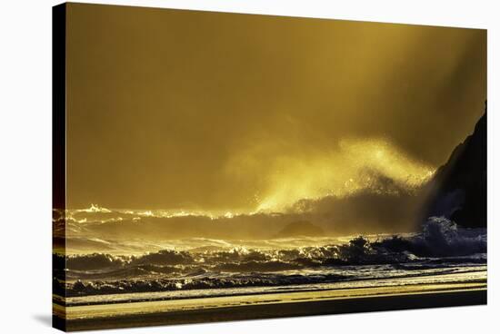 Washington_Quinault Seascape-Art Wolfe-Stretched Canvas