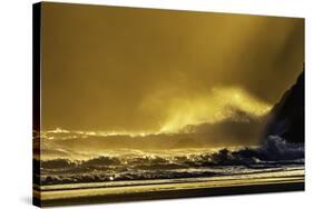 Washington_Quinault Seascape-Art Wolfe-Stretched Canvas