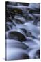 Washington_Rainier Waterfall II-Art Wolfe-Stretched Canvas