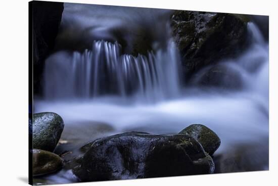 Washington_Rainier Waterfall-Art Wolfe-Stretched Canvas