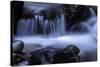 Washington_Rainier Waterfall-Art Wolfe-Stretched Canvas