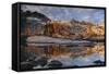 Washington, Reflection in Lakelet Enchantment Lakes in Fall-Jamie & Judy Wild-Framed Stretched Canvas