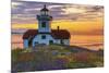 Washington, San Juan Islands. Patos Lighthouse and Camas at Sunset-Don Paulson-Mounted Photographic Print