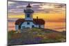 Washington, San Juan Islands. Patos Lighthouse and Camas at Sunset-Don Paulson-Mounted Photographic Print