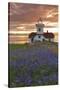 Washington, San Juan Islands. Patos Lighthouse and Camas at Sunset-Don Paulson-Stretched Canvas