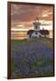 Washington, San Juan Islands. Patos Lighthouse and Camas at Sunset-Don Paulson-Framed Photographic Print