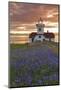 Washington, San Juan Islands. Patos Lighthouse and Camas at Sunset-Don Paulson-Mounted Photographic Print