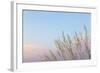 Washington, Seabeck. Grasses at Sunset-Jaynes Gallery-Framed Photographic Print