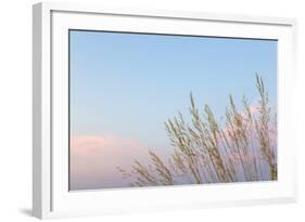Washington, Seabeck. Grasses at Sunset-Jaynes Gallery-Framed Photographic Print