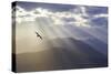 Washington, Seabeck. Seagull and God Rays over the Olympic Mountains-Don Paulson-Stretched Canvas