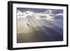 Washington, Seabeck. Seagull and God Rays over the Olympic Mountains-Don Paulson-Framed Photographic Print