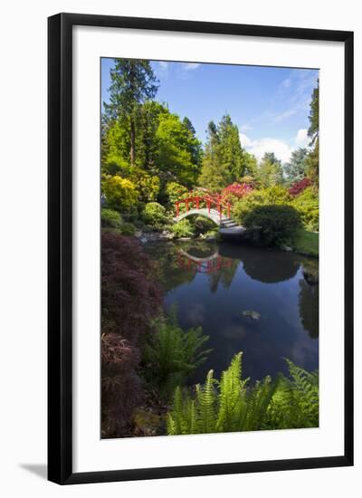 Washington, Seattle, Kubota Gardens, Spring Flowers and Moon Bridge in Reflection-Terry Eggers-Framed Photographic Print