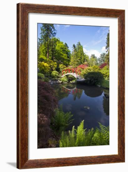 Washington, Seattle, Kubota Gardens, Spring Flowers and Moon Bridge in Reflection-Terry Eggers-Framed Photographic Print