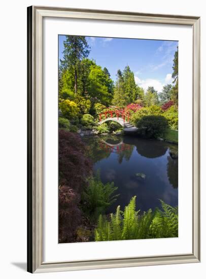 Washington, Seattle, Kubota Gardens, Spring Flowers and Moon Bridge in Reflection-Terry Eggers-Framed Photographic Print