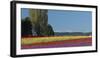 Washington, Skagit Valley, Mount Vernon. Tulip Field with the Olympics-Charles Sleicher-Framed Photographic Print