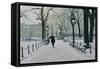 Washington Square Park in the Snow, 2014-Max Ferguson-Framed Stretched Canvas