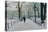 Washington Square Park in the Snow, 2014-Max Ferguson-Stretched Canvas